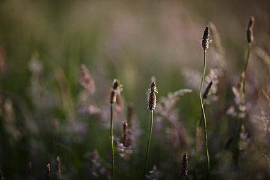 Switch 2西班牙首周销量突破10万 主机销售历史新纪录